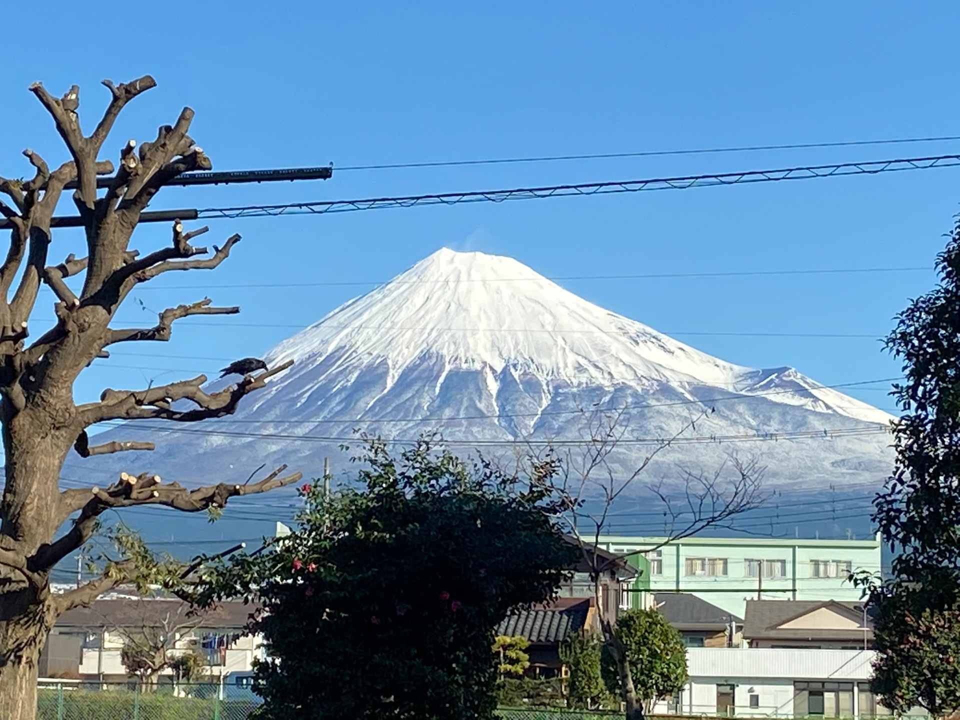ファミリー、家族連れに優しい。富士山こどもの国にいくならリーズナブル、格安のゲストハウスのむらへ。